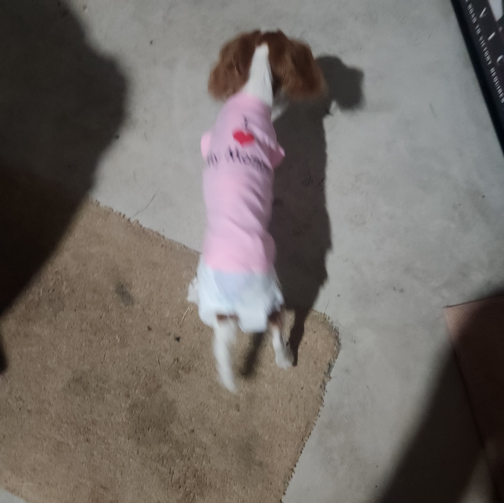 Meet your Posher, Raylene - Picture 5 of 9